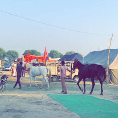 Danabaad Arjan dhillon new song