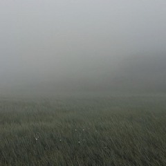 f o r s a k e n* prod. me