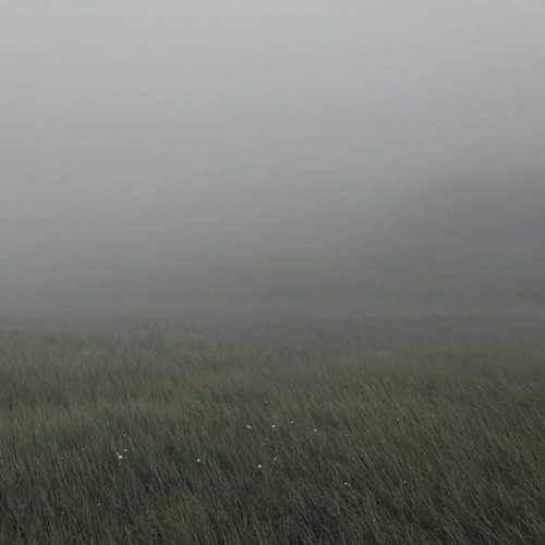 f o r s a k e n* prod. me