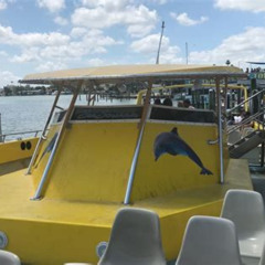 Best Sea Screamer Dolphin Tour Boat Ride Ticket Tours Review
