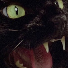 Born In Detroit Died In Berlin