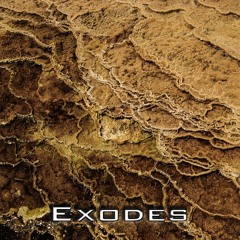Exodes #10 - Fievre @Sirius, Lyon