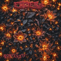 Embers