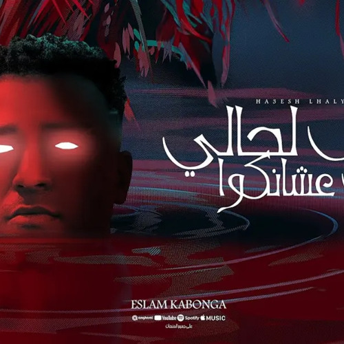 ‎⁨هعيش لحالي مش عشانكوا - اسلام كابونجا - توزيع فيجو الدخلاوي - مهرجانات 2024⁩.m4a
