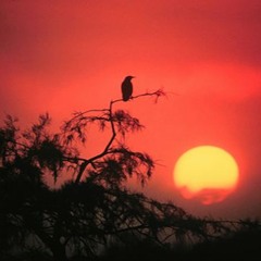 A Means to Meet the Morning