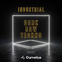 Industrial Techno · RAW · DARK · 144bpm ·  260307