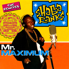 Fanciness (F & F Dream Team - Ragga Club Lick)