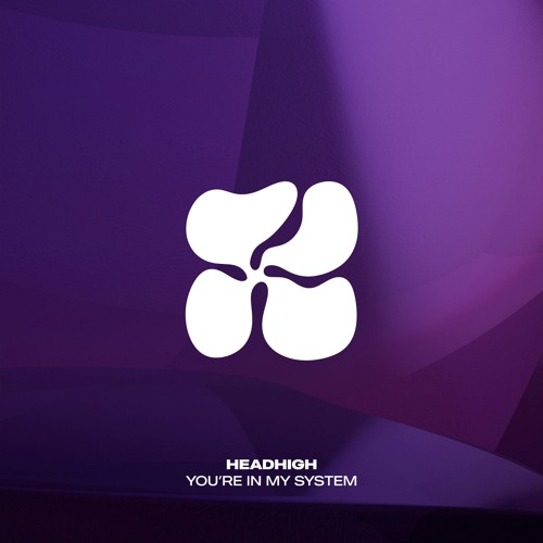 Headhigh – You're In My System [TNTX020]