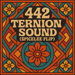 Ternion Sound- 422 (SpiceLee Bootleg)