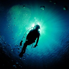 Illuminate