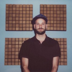 Birds Of Lauwersmeer