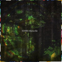 ED065: Marius Bø