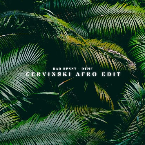 Bad Bunny - DtMF (Cervinski Afro Edit) [Filtered For Copyright]