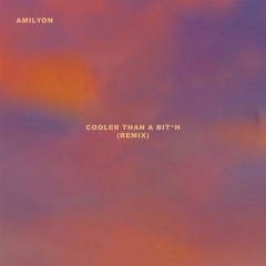 COOLER THAN A BITCH (Remix)
