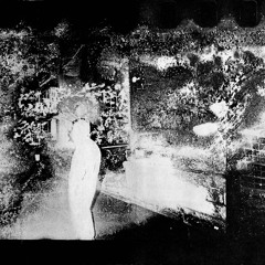 Talk: Curating Moriyama and Sugimoto