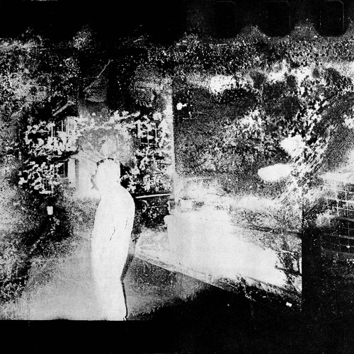 Talk: Curating Moriyama and Sugimoto