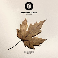 I Feel (Radio Edit) [Manufacturer Records]