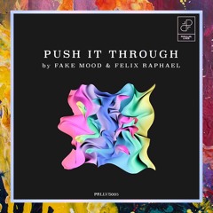 PREMIERE: Fake Mood & Felix Raphael — Push It Through (Original Mix) [Parallel Lives]