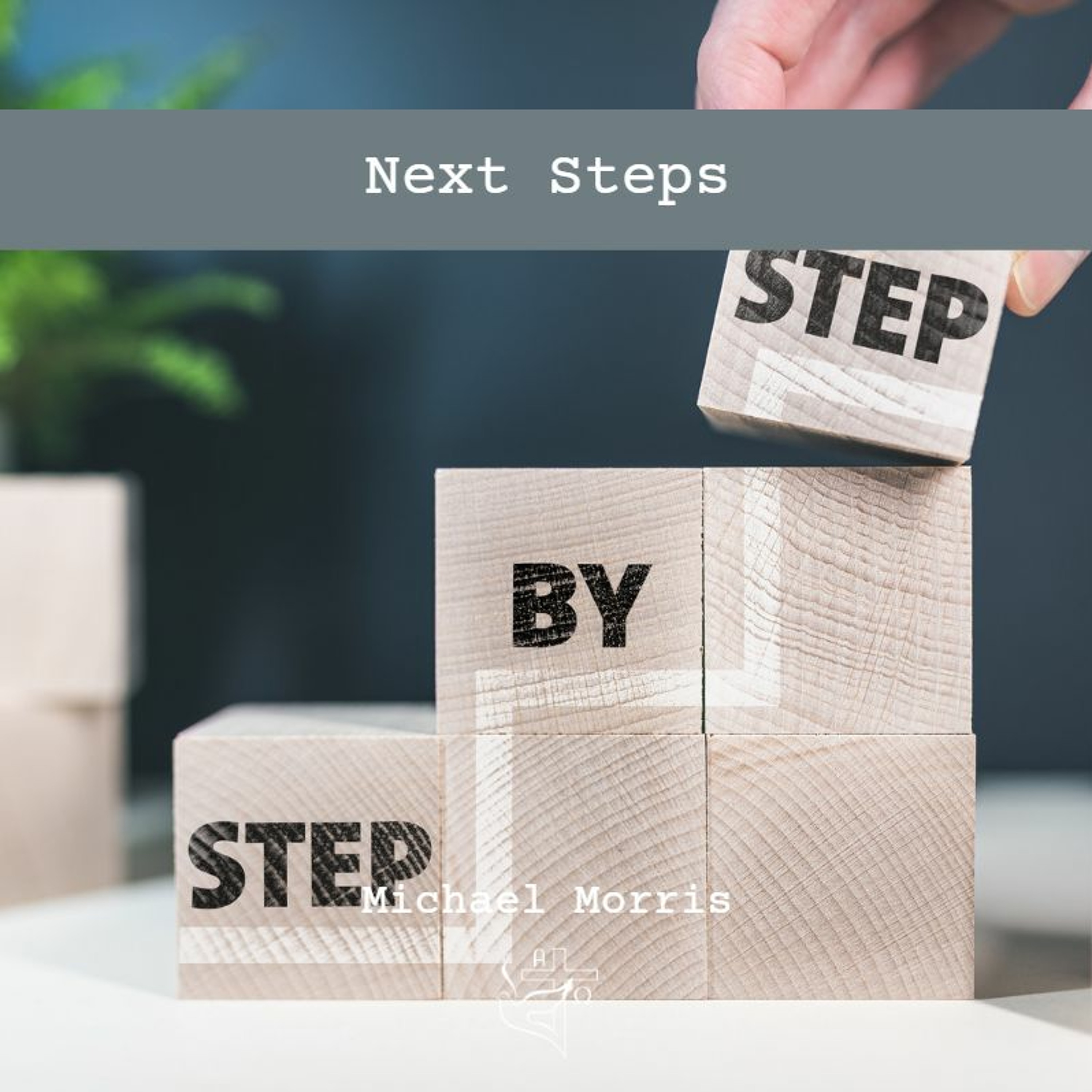 Next Steps episode artwork