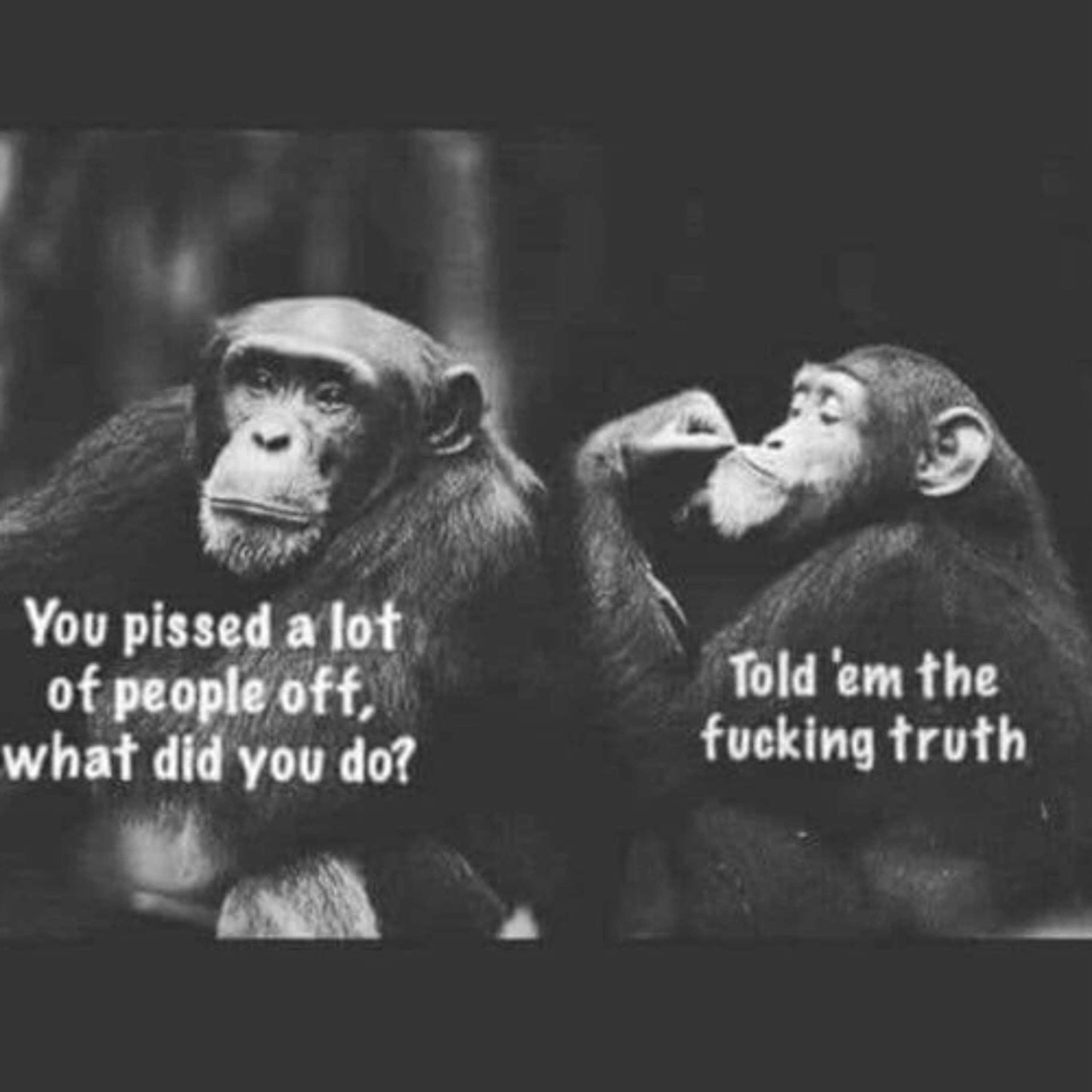 282. Australian Trucking News and Opinion with Mike Williams and Guests