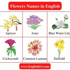 Flowers Name: List of a Flowers Name in English