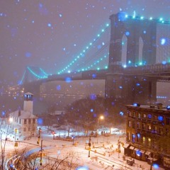 Jan 03 2025 - Regeneration: resilience