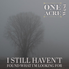 I Still Haven't Found What I'm Looking For