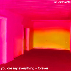 acididas999 - you are my everything = forever