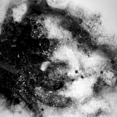 subete prod. s. vady