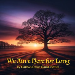 We Ain't Here For Long - LynnL Remix
