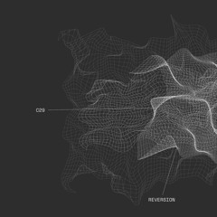C29 - Reversion