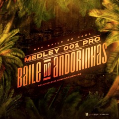 MEDLEY BAILE DO ANDORINHAS 001