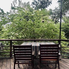 Xin lỗi vì đã yêu nhau