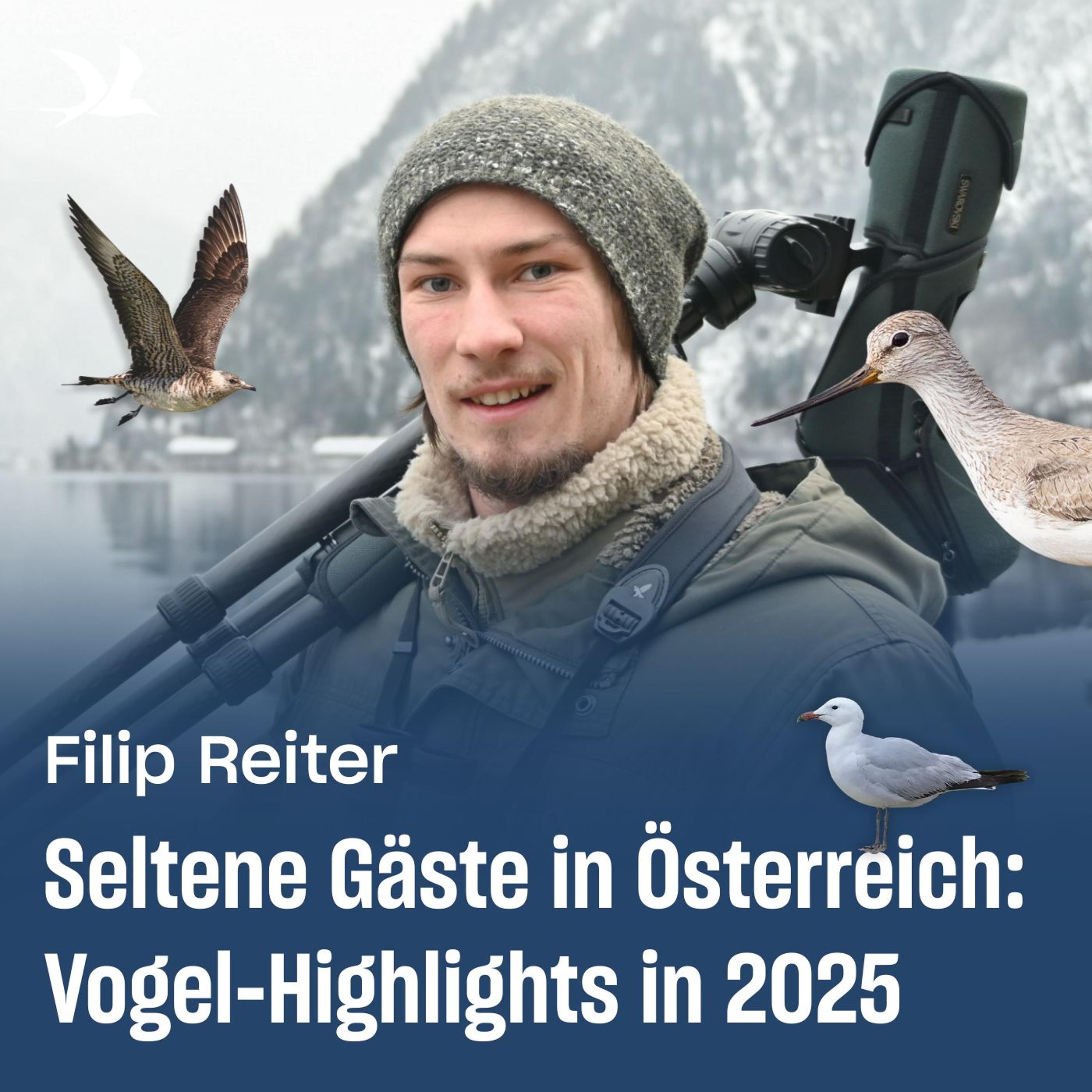 88. Seltene Gäste in Österreich: Vogel-Highlights in 2025