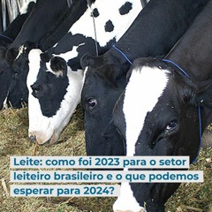 Leite: como foi 2023 para o setor leiteiro brasileiro e o que podemos esperar para 2024?