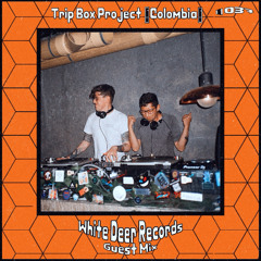 WDR Guest Mix #037 - Trip Box Project