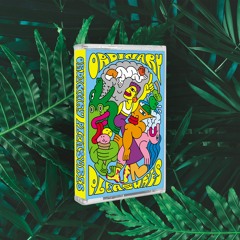 VA - Ordinary Pleasures (BLAQTAPES010)