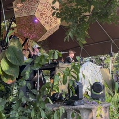 Stallings @ Deep Tropics Festival 2025, Nashville