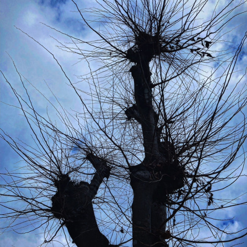 waiting for the wind