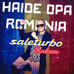 Costi Ionita & Vladuta Lupau & Culita Sterp - Haide opa Romania (saleturbo Redrum)