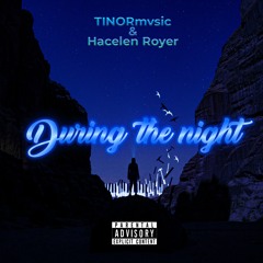 TINØRmvsic ft Hacelen Royer - During The Night