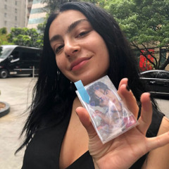 everything is romantic (a. g. cook remix) x eusexua (topaz tiger remix)