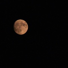 8.30.25 3