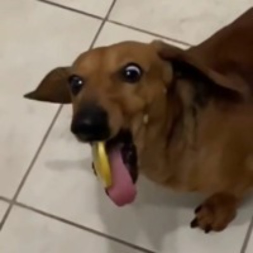 HARD DANCE MIXTAPE 2