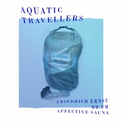 2023-04-07 Live At Sonntagsinstitut pres. Aquatic Travellers (bbfm & Affective Sauna b2b & Solo)