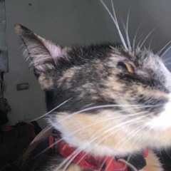 muni muni with u? ft. Aesonthetic