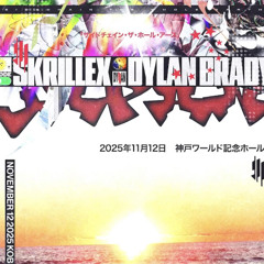 Skrillex & Dylan Brady - NEEDLE GUY