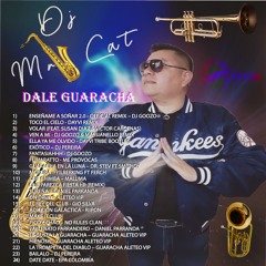MISTER CAT - GUARACHA MIX  2020 (ALETEO ZAPATEO)