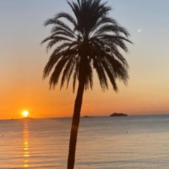 Sunrise @ Jet Apartments IBZ 23