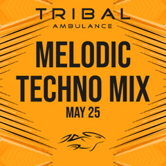 Melodic Techno Mix [May 2025]